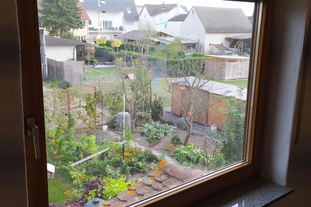 Apartment Schwoerer Bis 7 Personen Rheinhausen